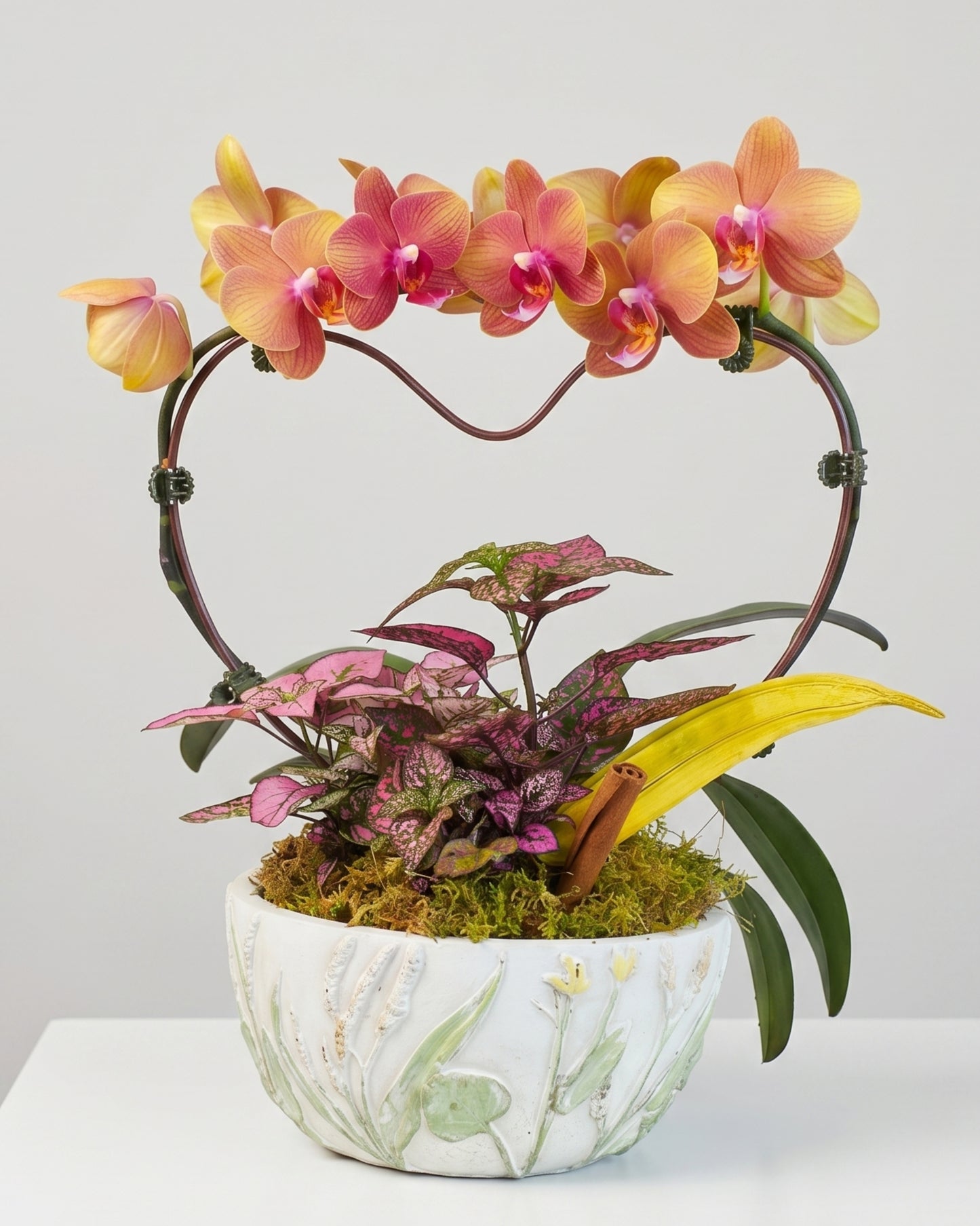 Peach Heart Orchid
