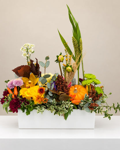 Autumn Garden