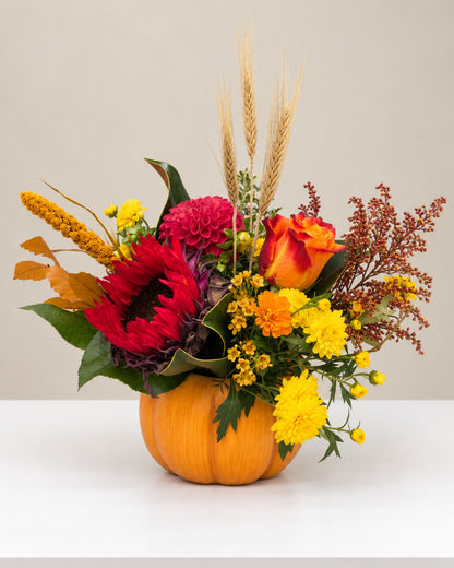 Autumn Harvest