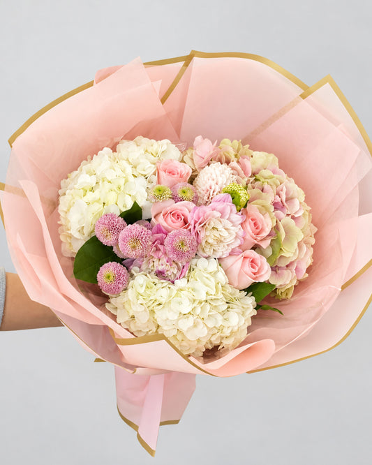 Blush Hydrangea