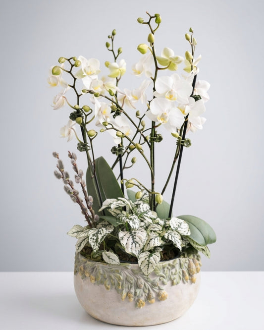 Botanical Harmony