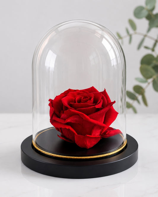 Eternal Red Rose Dome - last 3 years